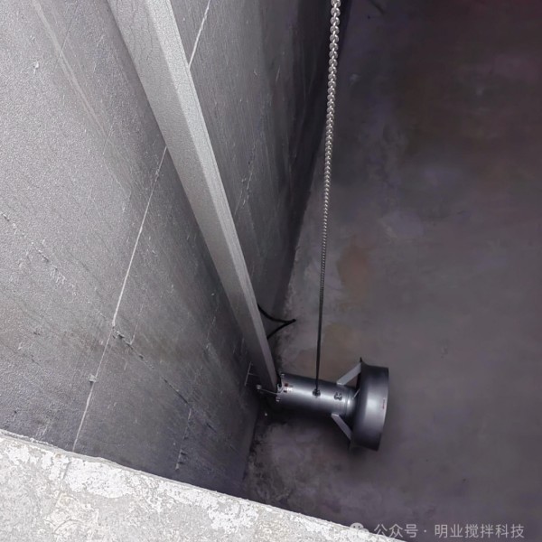 46172602269347.jpg 微信圖片_20240911103751.jpg